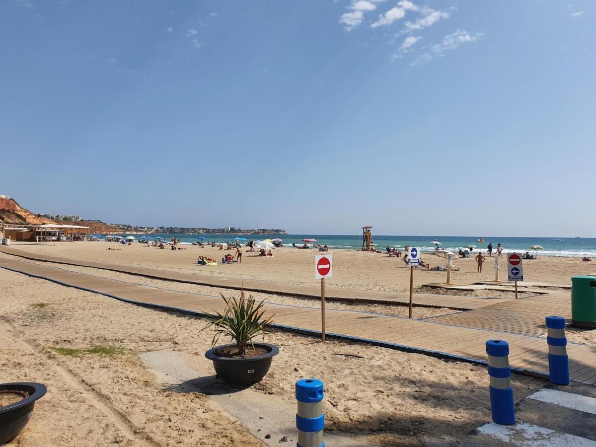 Apartment In Campoamor Overlooking The Swimming Pool Экстерьер фото